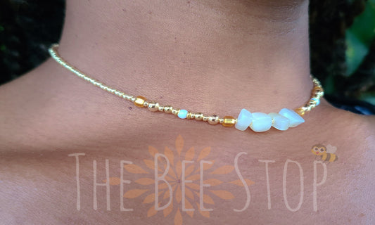 Dainty Seashell 》Necklace
